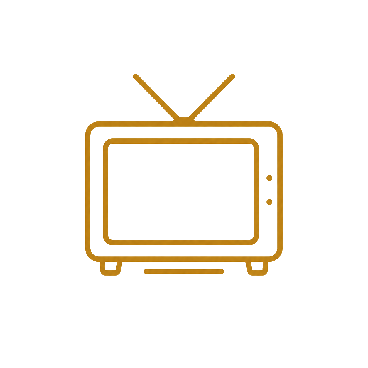 テレビ実績